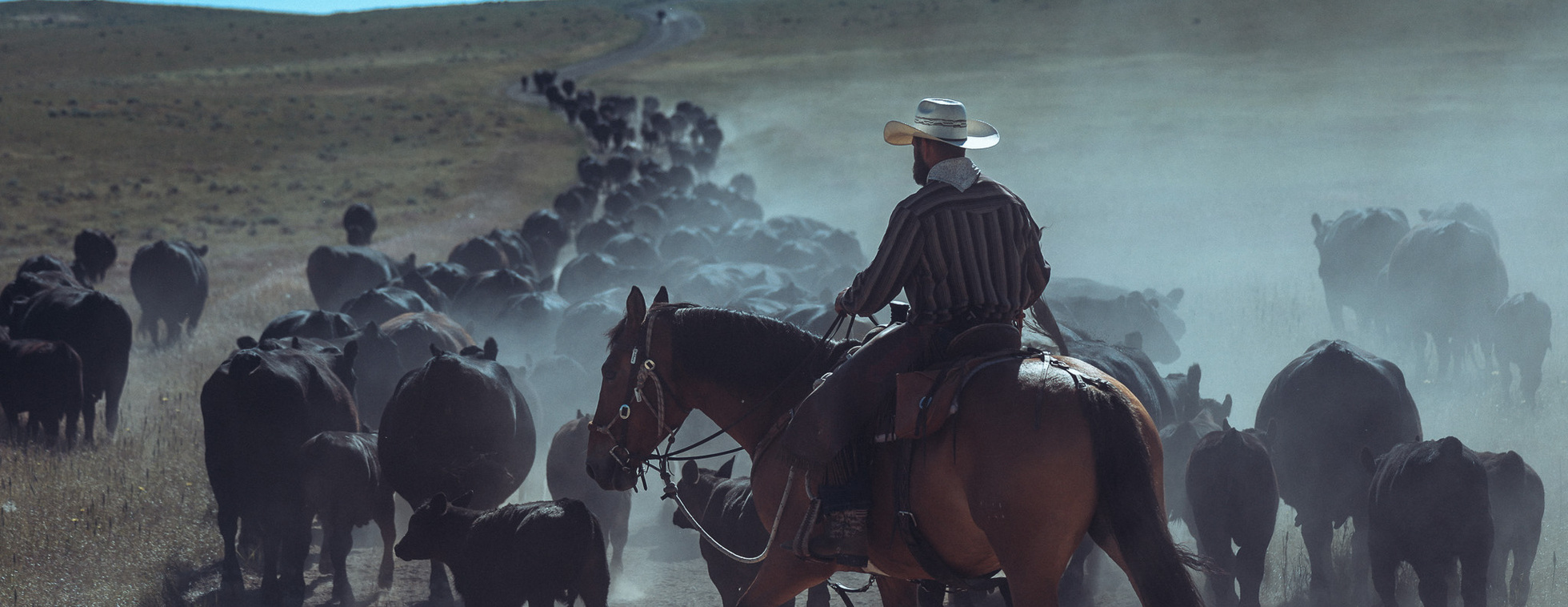 Heroes and Horses 7th Annual Gala and 10 Year Anniversary